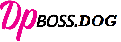 dpboss